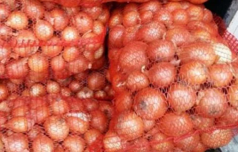 Продаж оптової товарної цибулі