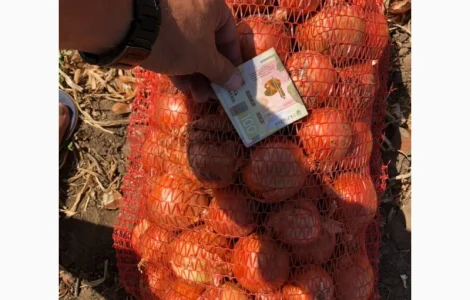 Продаж цибулі