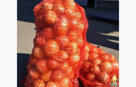 Оптовий продаж цибулі