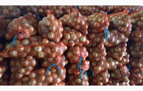 Продам цибулю товарну оптом