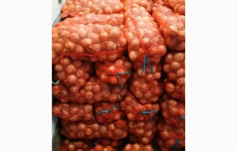 Оптом продам товарну цибулю