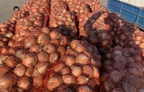 Продам якісну цибулю оптом