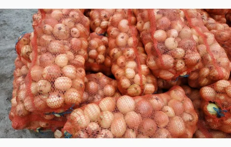 Продам оптом якісну товарну цибулю