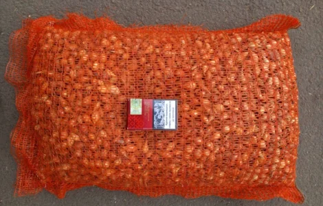 Продаём лук севок на постоянной основе