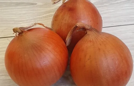 На постоянной основе закупаем лук