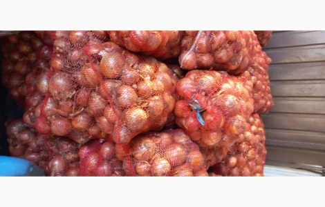 Продам цибулю