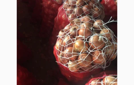 Оптовая продажа качественного лука из Турции