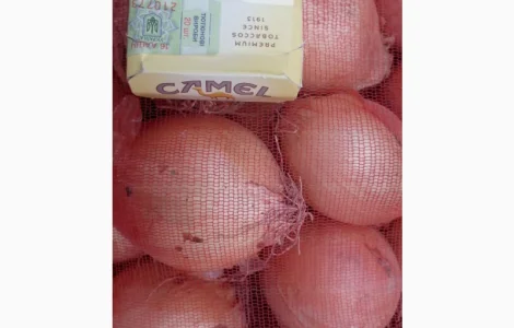 Купуємо цибулю ріпчату