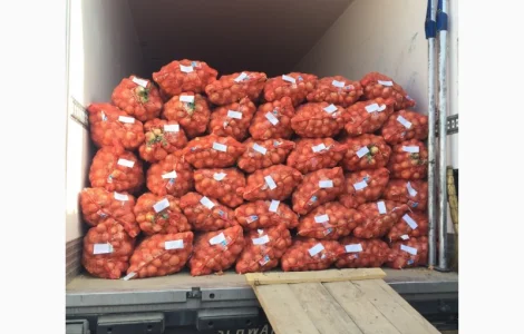 Продам лук репчатый манас Казахстан