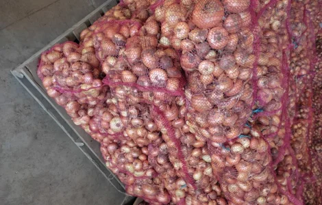 Продам штутгарт