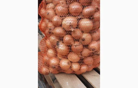 Продам лук желтый Польша размер+ 40 в мешках по 15 кг