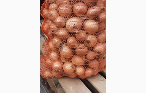 Продам лук желтый Польша размер+ 40 в мешках по 15 кг