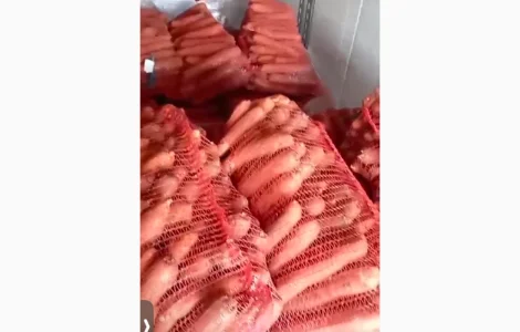 Продам морковь