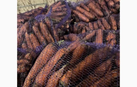 Продам морковь второй сорт