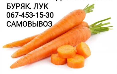 Куплю морковку МОРКВУ дорого0