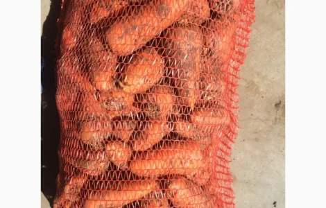 Продам моркву