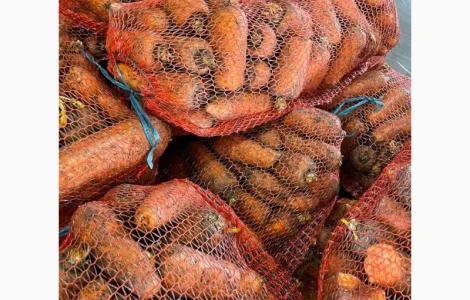 Куплю Морковь на шинковку