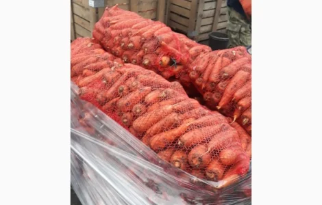 Продам оптом моркву товарну