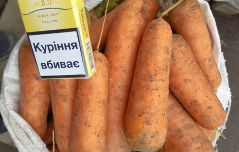 Продаємо моркву "Каскад"