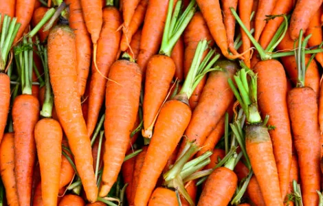 КУПЛЮ МОРКВУ ІІ СОРТУ від 20 тон на постійній основі!!!!! з пдв