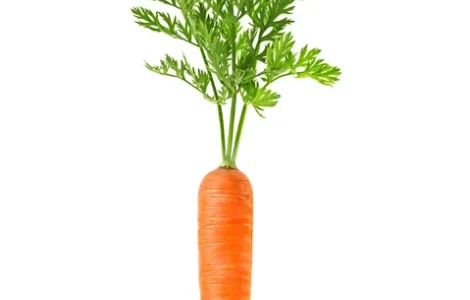 Купуємо товарну моркву