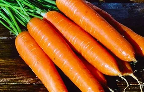 Купуємо моркву на постійній основі гурт/опт. У великих обʼємах. 1-2 сорт. По ПДВ