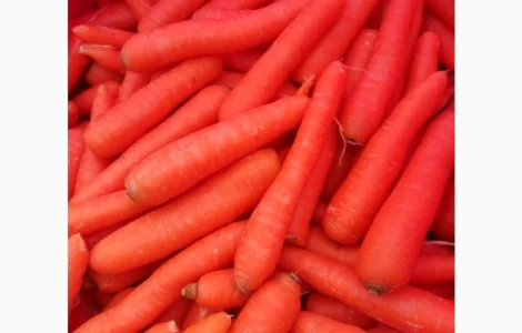 Оптовая продажа МОРКОВЬ качественных