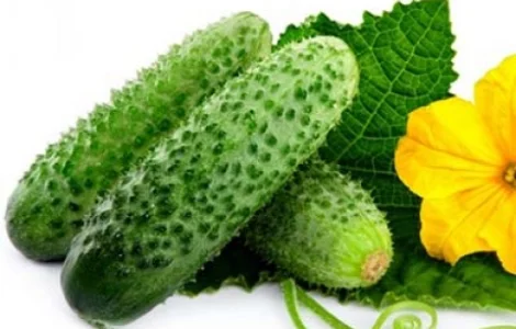 Купуємо огірки з доставкою у Житомир