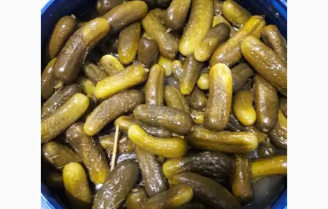 Огірки солоні