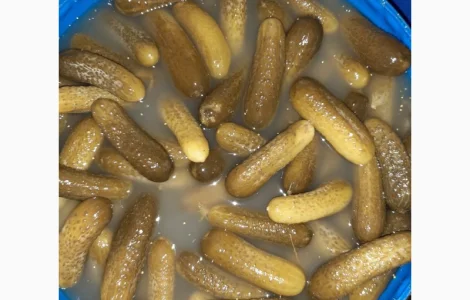 Продам соленый огурец