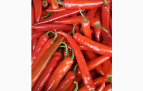 Перець гострий Єгипет