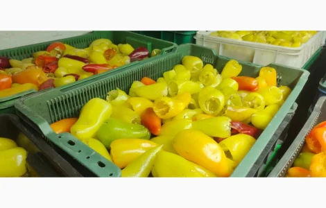 Продам замороженный перець