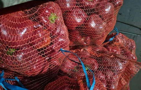 Продам перец