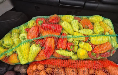 Продам перец белозерка