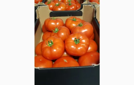 Продам помідори