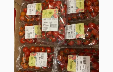 Помидоры оптом