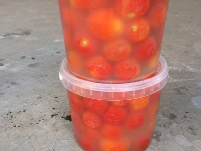 Соленый Помидор Красный