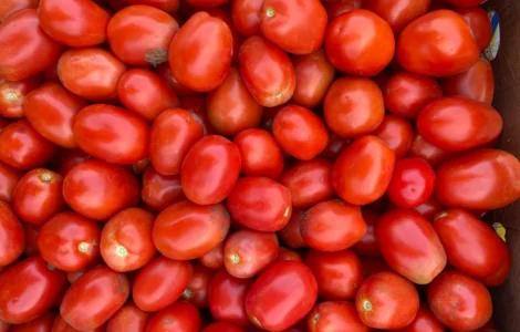 Продам помідори. Сливка