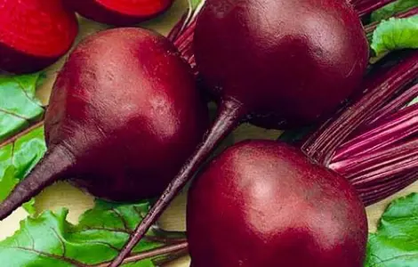 Куплю Буряк красный оптом