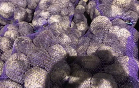 Закупаем Свеклу оптом по всей Украине