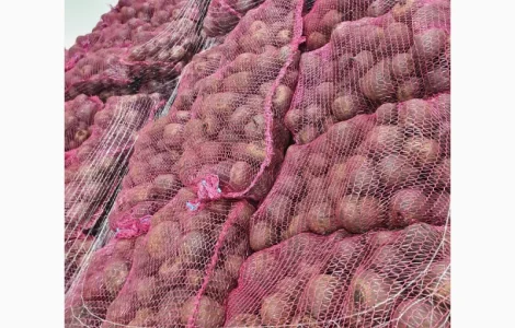 Продам буряк