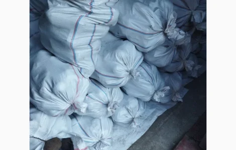 Продам буряк столовий