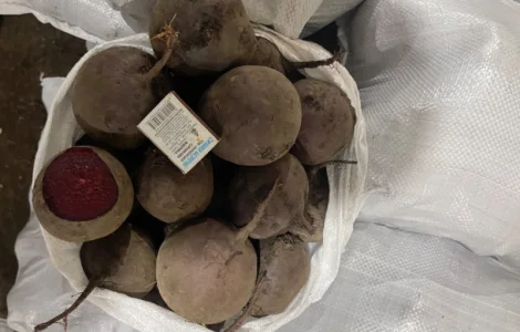 Продам буряк