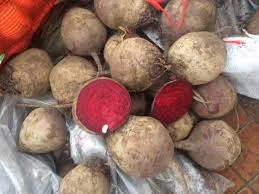 Буряк(свекла) другого сорту оптом