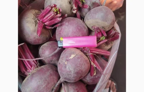 Буряк круглый и цилиндр