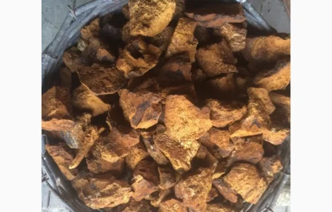 Чага березы без кори 100 грамм 45 грн