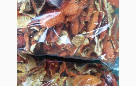 Мухомор червоний сухий шапочки