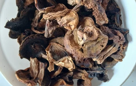 Продам сухі білі гриби жовті, сухі гриби польські