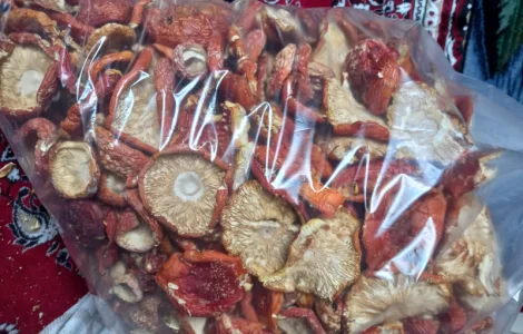 Продам Шляпки Мухомора врожай 2025 1 кг першого сорту 2000