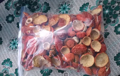 Червоний мухомор 1 сорт (не розкриті)